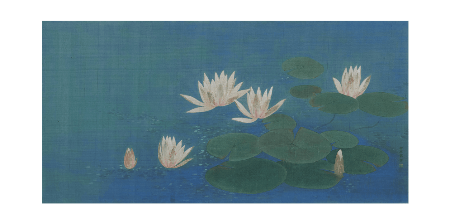 HJISA00006: Water Lily「荷花」